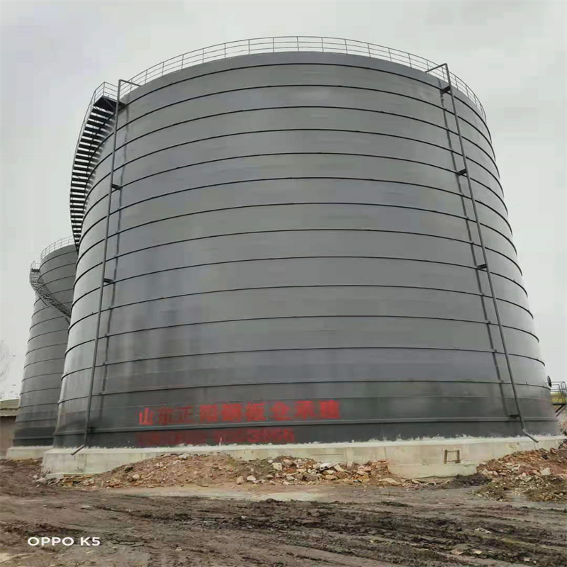 安乡3万吨大型钢板库