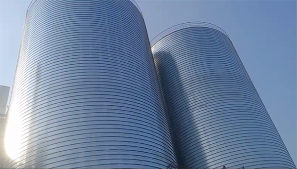 安乡2座混凝土高架卷板仓